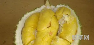 榴莲公母图对比(雌榴莲和雄榴莲的区别)