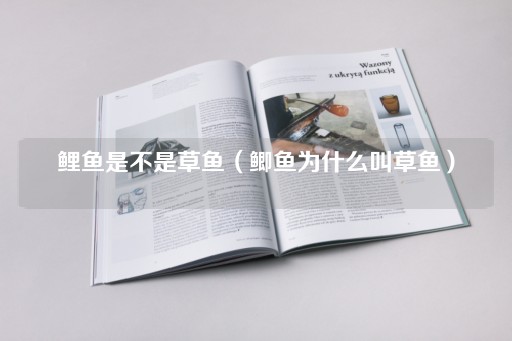 鲤鱼与草鱼：鲫鱼的别名由来