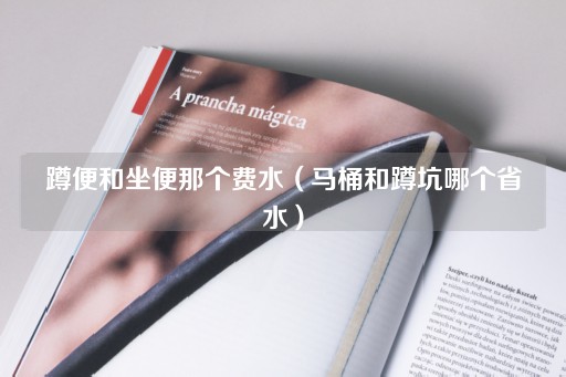 蹲便与坐便：哪种更节水？