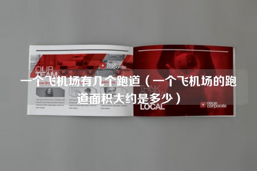 一个飞机场的跑道数量及面积概览