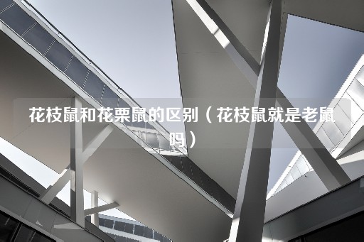 花枝鼠与花栗鼠的差异：花枝鼠是否为老鼠？